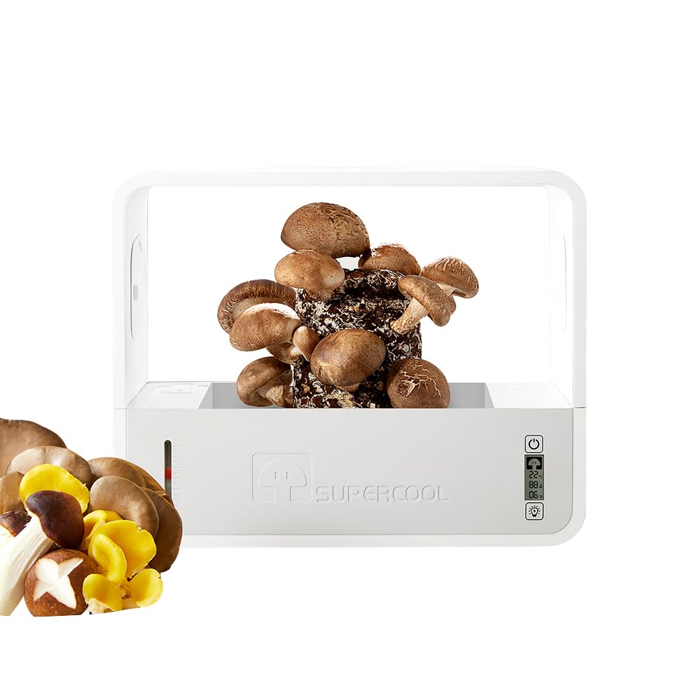 Amazon.com : Odpaltoy Indoor Mushroom Growing kit Includes